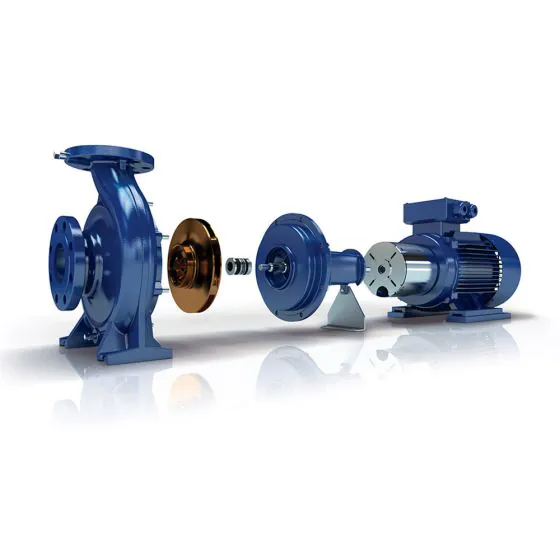 Ebara GS2 50-200-219/B1/E 22 Pump (2687000082A) - Pumps UK