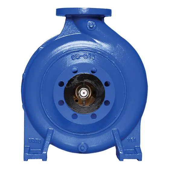 Ebara GS 32-250 -262/B1 Pump (2680000006A) - Pumps UK